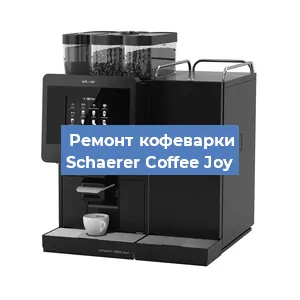 Чистка кофемашины Schaerer Coffee Joy от кофейных масел в Новосибирске